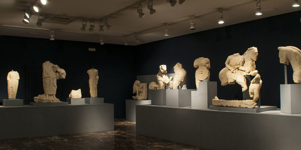 Versatile-Dolmon-Latest-Trend